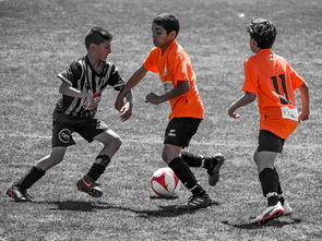 NBA球员训练营活动，nba球员训练营活动安排